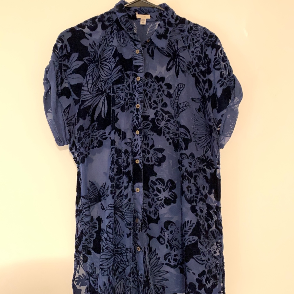 Shear Velvet Tropical Top